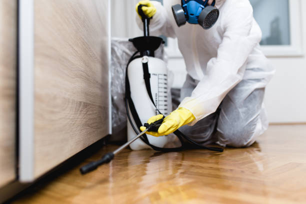 Best Bed Bug Extermination  in Benwood, WV