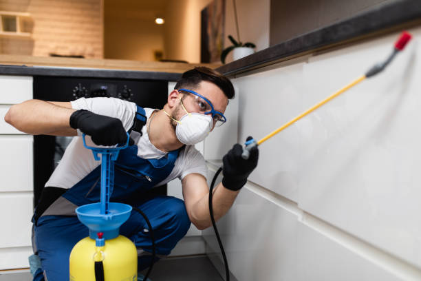 Best Pest Control Near Me  in Benwood, WV