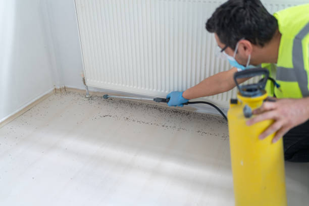 Best Pest Removal Services  in Benwood, WV